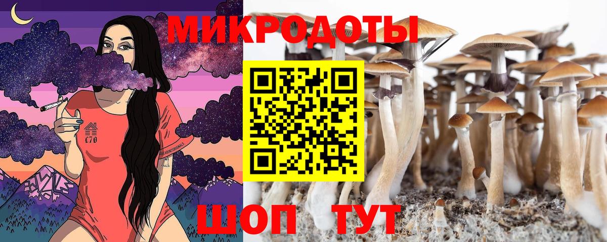 Псилоцибиновые грибы MAGIC MUSHROOMS  Галлюциногенные грибы Psilocybe  Вход с VPN  Родники 